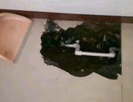 江北卫生间测漏水多少钱